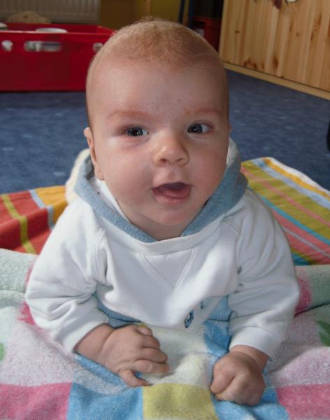 Mika, 11 Wochen alt