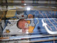 2 Lebenstag im Inkubator (wärmebettchen)