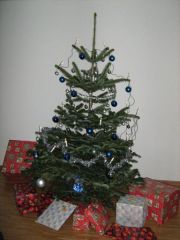 Weihnachtsbaum 2010