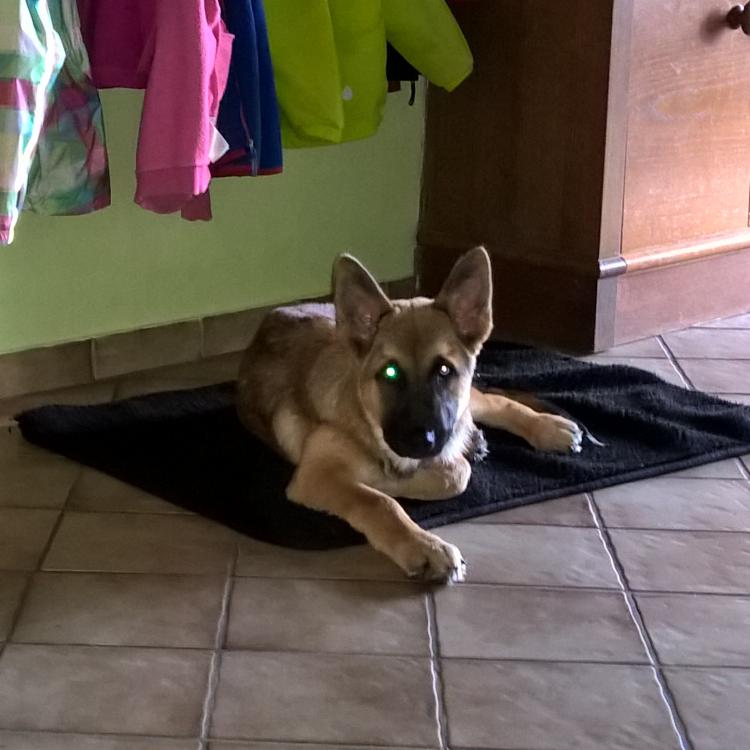 WP_20151012_09_09_47_Pro (2).jpg