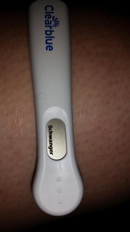 20151130_132652.thumb.jpg.5453634409a997