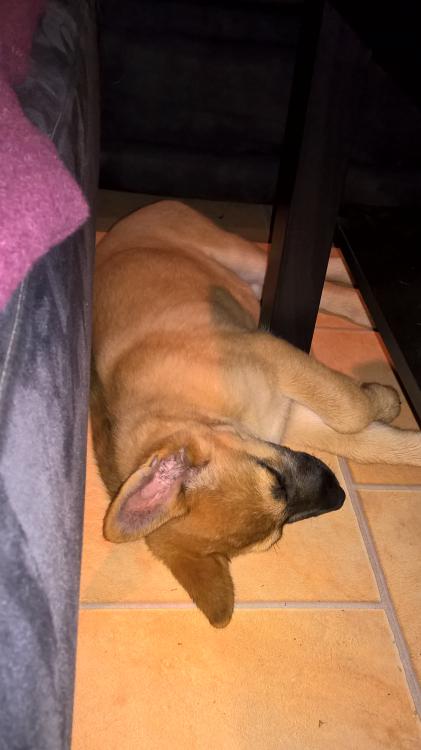 WP_20150906_21_28_41_Pro (2).jpg