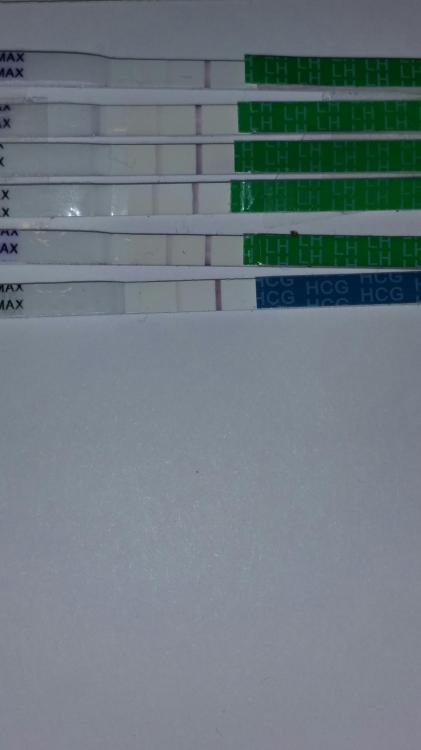 2016-01-19 19.55.50.jpg